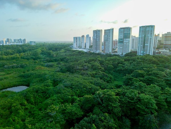 Créateurs de Couture : Récits et Trajectoires Inspirantes