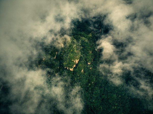 Qu'est-ce que la pathologie générale ?