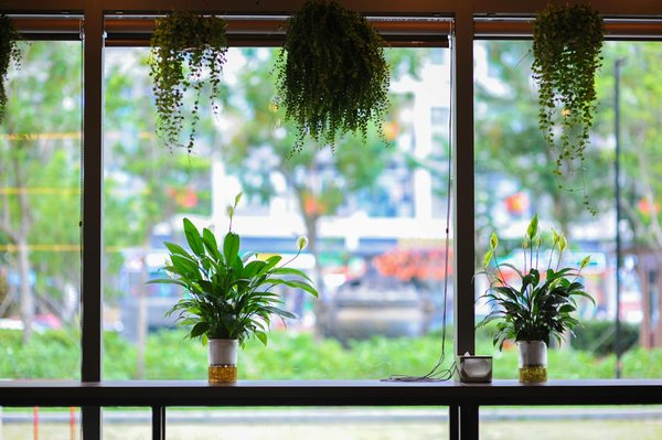 Avis clients sur les panneaux solaires photovoltaïques : découvrez !